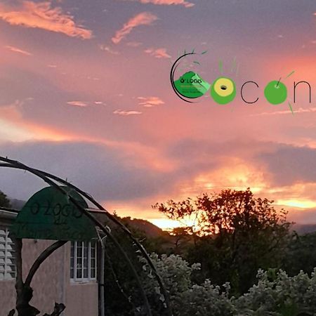 O Logis Du Morne Jacob "Coco", Le Morne-Rouge Martinique公寓 外观 照片