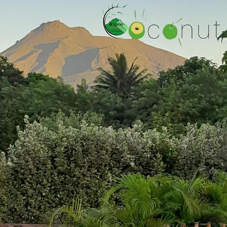 O Logis Du Morne Jacob "Coco", Le Morne-Rouge Martinique公寓 外观 照片