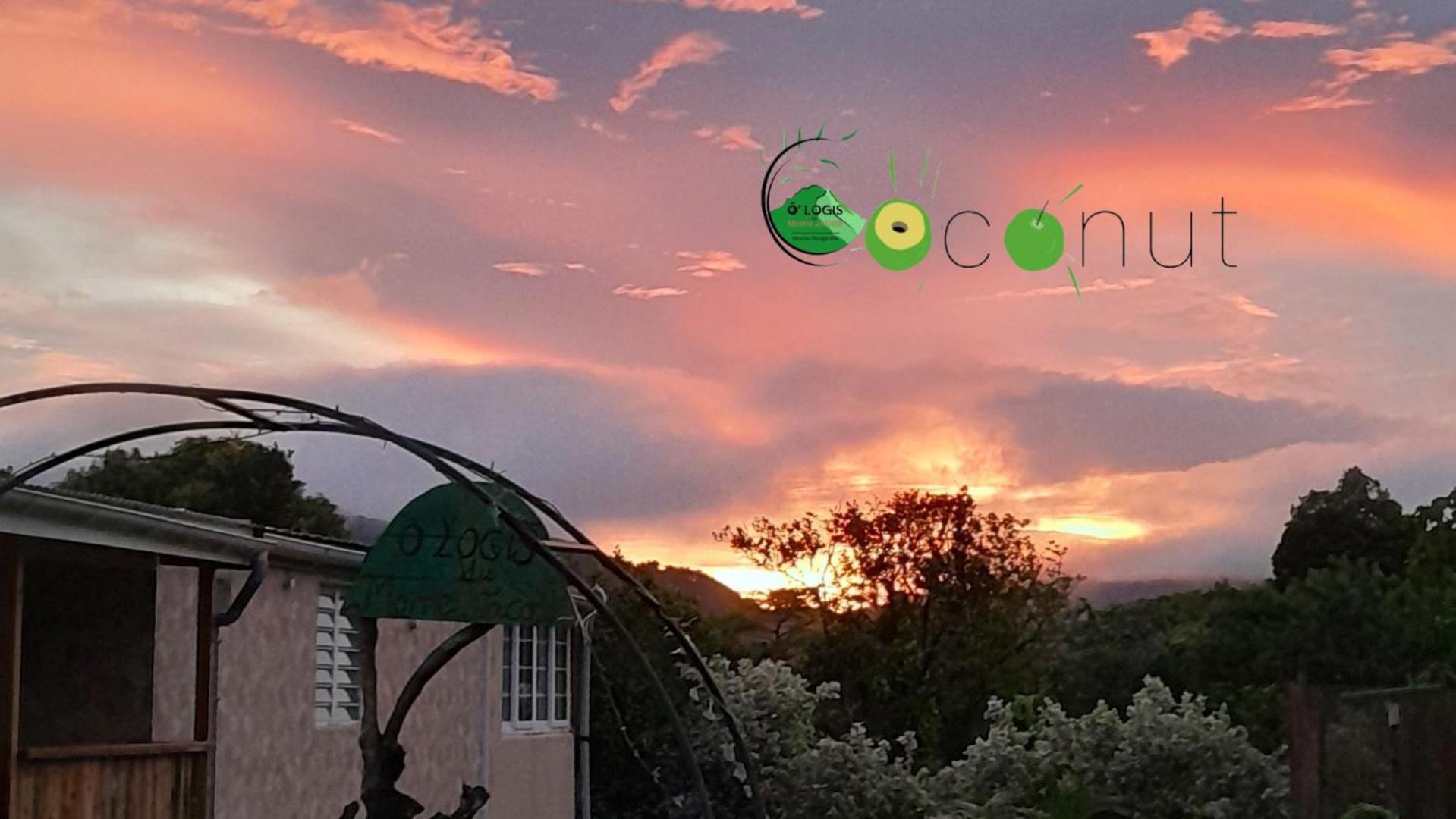 O Logis Du Morne Jacob "Coco", Le Morne-Rouge Martinique公寓 外观 照片