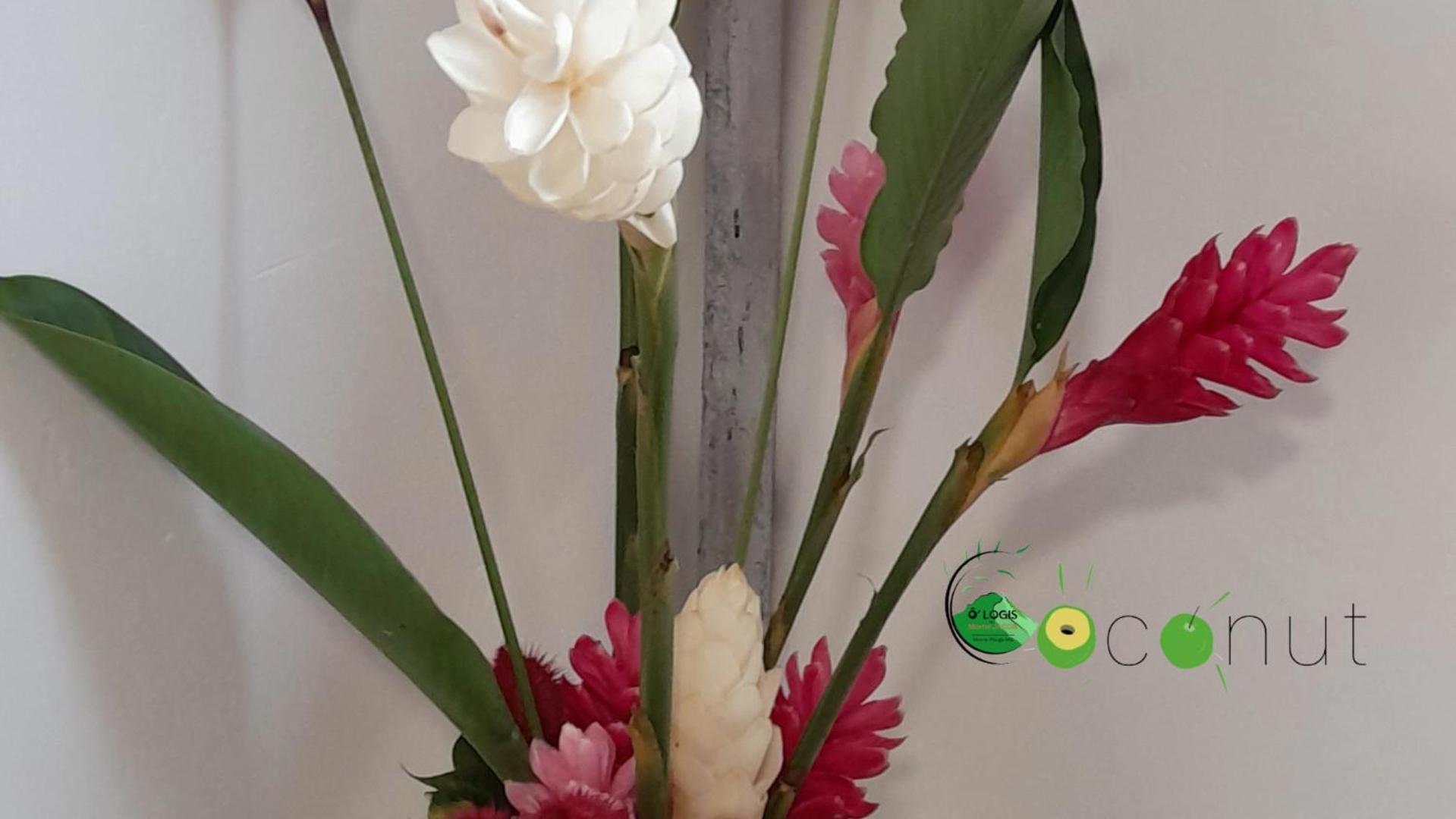 O Logis Du Morne Jacob "Coco", Le Morne-Rouge Martinique公寓 外观 照片
